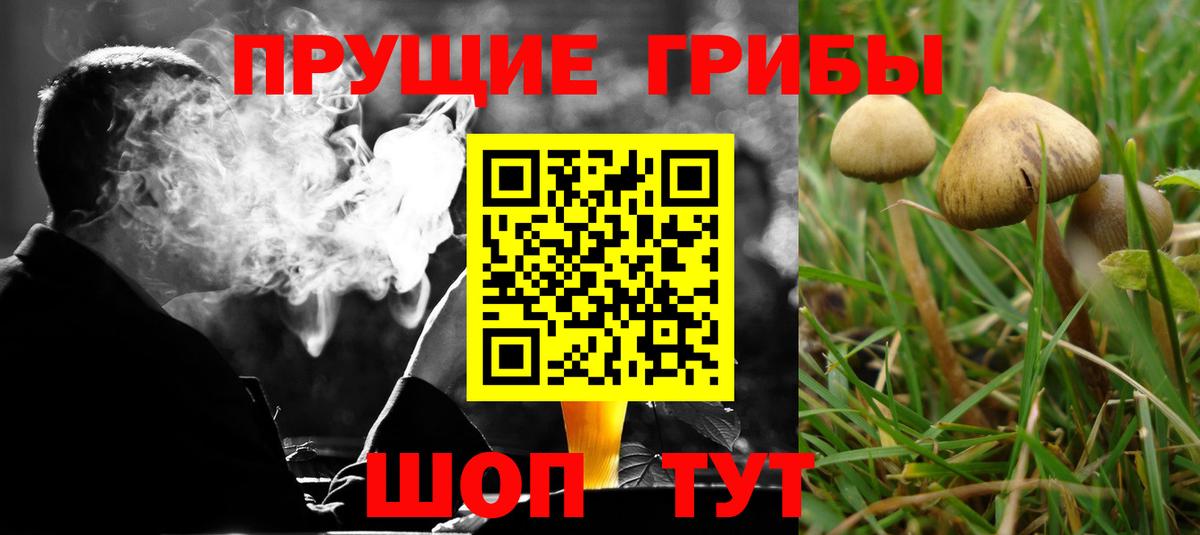 Псилоцибиновые грибы мухоморы Мичуринск