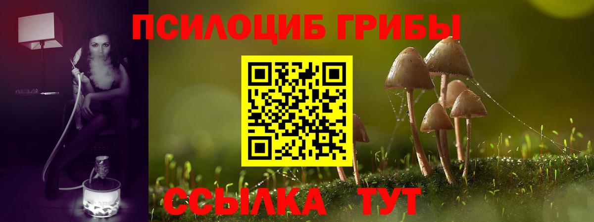 Мичуринск  Псилоцибиновые грибы мухоморы  Вход с VPN 